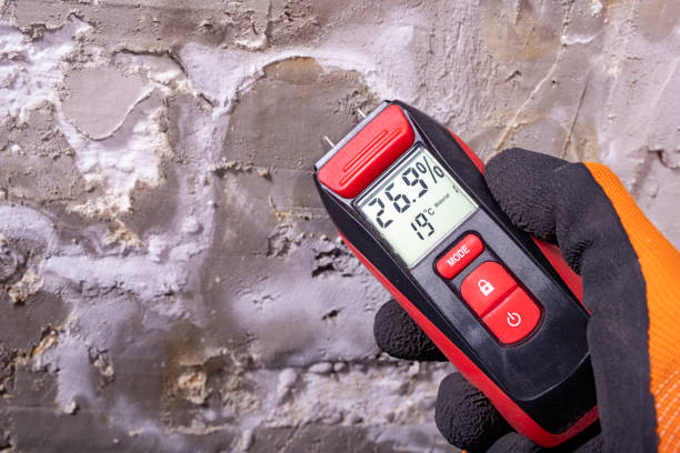 Best Affordable Mold Removal  in Uvalde Estates, TX